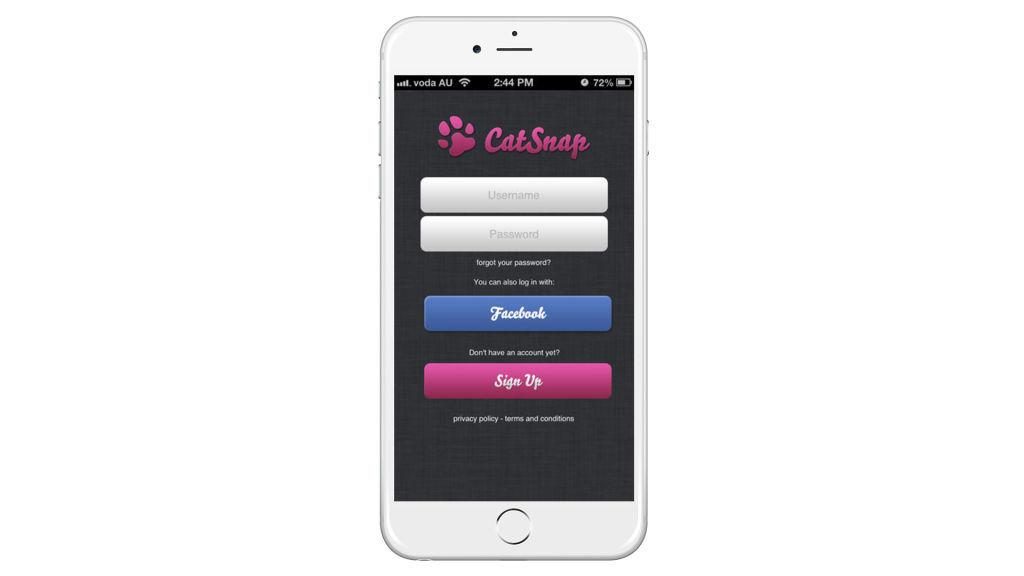 little-red-jet-app-template-cat1